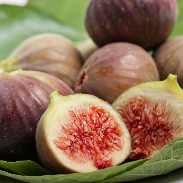 Frutti Antichi